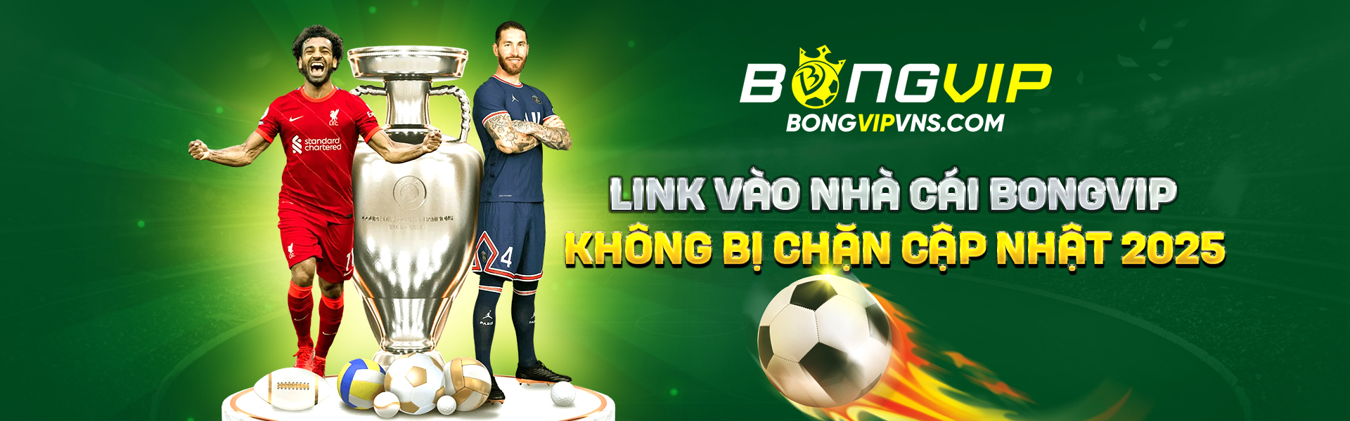 Trang chủ 9 banner bong vip