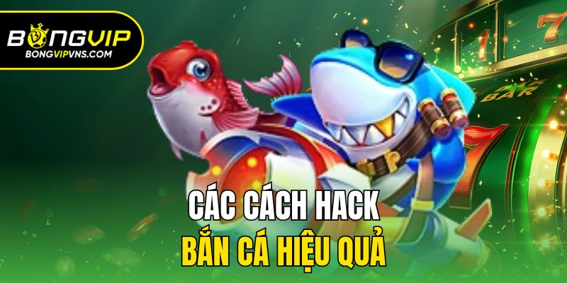 Hack Bắn Cá - Bí Quyết Săn Thưởng Nhanh Chóng, Dễ Dàng 3 Các cách hack bắn cá hiệu quả