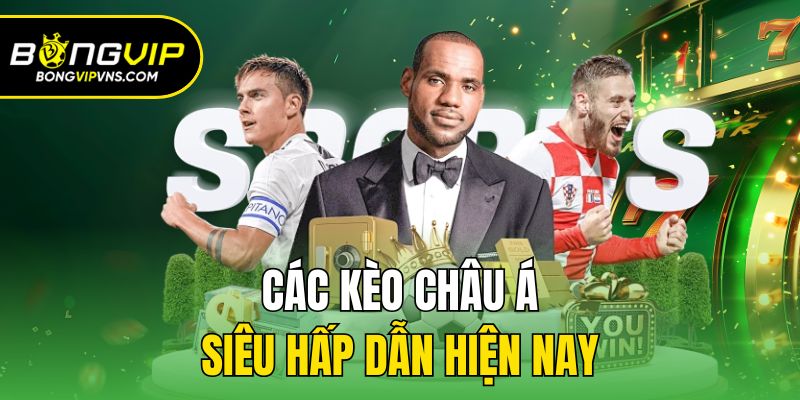 Các Loại Kèo Châu Á Hấp Dẫn Và Bí Quyết Cá Độ Tại Bongvip 2 Kèo Châu Á 1/2