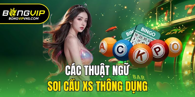 Kinh Nghiệm Soi Cầu Xổ Số Siêu Chuẩn Từ Chuyên Gia Bongvip 2 Các thuật ngữ soi cầu XS thông dụng