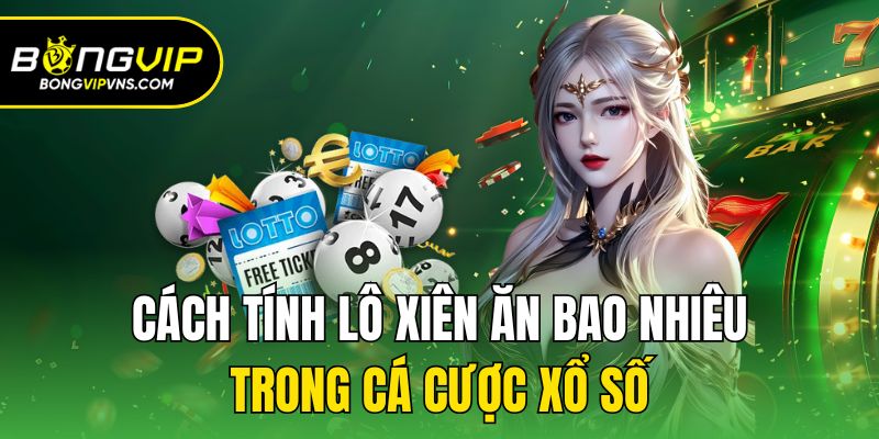 Cách Tính Lô Xiên - Bật Mí Thông Tin Quan Trọng Cùng Bongvip 3 Chia sẻ cách tính lô xiên chốt số cực đẹp cho newbie