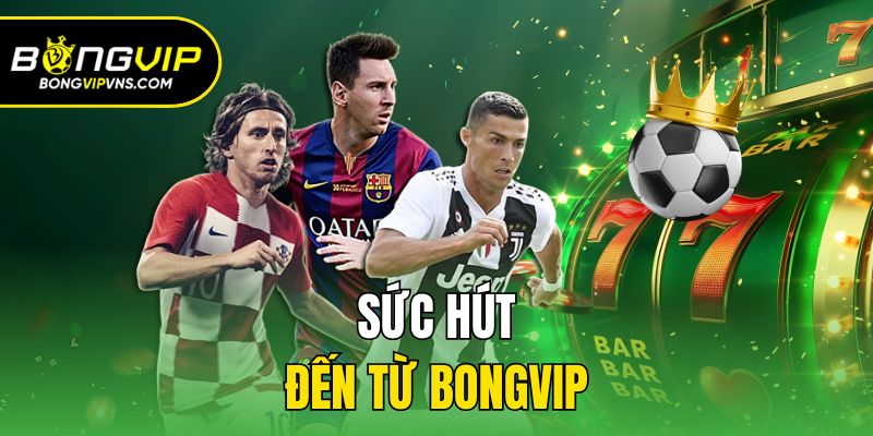 Sức hút đến từ Bongvip