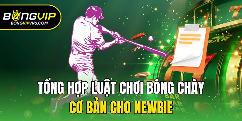 Luật Chơi Bóng Chày - Tổng Hợp Thông Tin Cho Người Mới 2 Tổng hợp luật chơi bóng chày cơ bản cho newbie