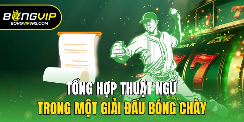 Luật Chơi Bóng Chày - Tổng Hợp Thông Tin Cho Người Mới 3 Tổng hợp thuật ngữ trong một giải đấu bóng chày