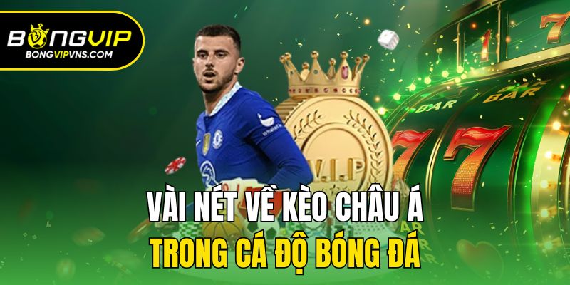 Các Loại Kèo Châu Á Hấp Dẫn Và Bí Quyết Cá Độ Tại Bongvip 1 Vài nét về kèo Châu Á trong cá độ bóng đá
